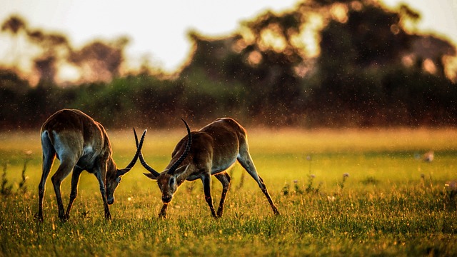 De perfecte route voor een luxe roadtrip door Zuid-Afrika